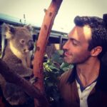 Reid Scott Instagram - #fbf to Taronga Zoo 2014. Me facing down the supremely vicious Barney the Koala...