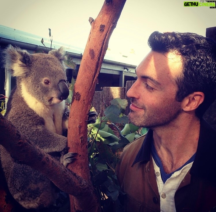Reid Scott Instagram - #fbf to Taronga Zoo 2014. Me facing down the supremely vicious Barney the Koala...