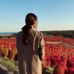 Reika Kirishima Instagram - ほとんどの出会いは 点と線みたいなもので ある映画のように 後に面白いくらいに伏線が回収される。 そう深く感じることが多いこの数年。 そしてその伏線が回収されたとき、 自分は何に気づくことができるのか。 ストン、と腑に落ちたとき、 自分の中の何かが光り輝き出す。 一つ一つを見逃さないように外側も内側も 見つめ直すことの大切さを 改めて思うのでした。 残り約2ヶ月、楽しみながら来年の準備♪ #relax #perfect ひたちなか海浜公園