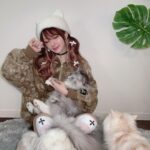 Reina Tanaka Instagram - . かわいい♡かわいい♡ シンバとジャック🩷🩷🩷🐈⸒⸒⸒⸒🐈‍⬛ 足カバーとシンバが同化しとー。笑 ・‥…━━━☞・‥…━━━☞ #シンバ #ジャック #スコティッシュフォールド #ラガマフィン