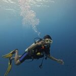 Remo D'Souza Instagram - It’s a different world out there , the best #dive I ever had , #sureal thank you for this beautiful experience