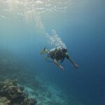 Remo D'Souza Instagram - It’s a different world out there , the best #dive I ever had , #sureal thank you for this beautiful experience