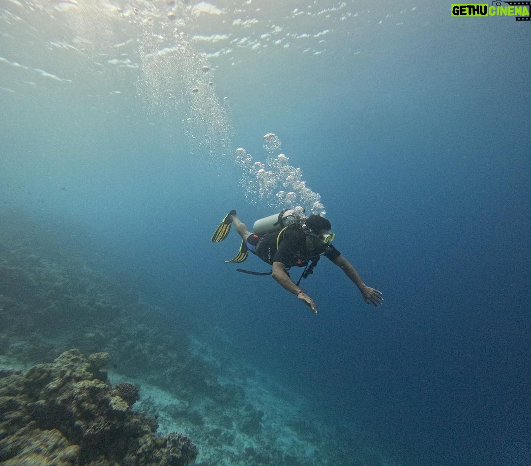 Remo D'Souza Instagram - It’s a different world out there , the best #dive I ever had , #sureal thank you for this beautiful experience