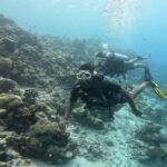 Remo D'Souza Instagram - It’s a different world out there , the best #dive I ever had , #sureal thank you for this beautiful experience