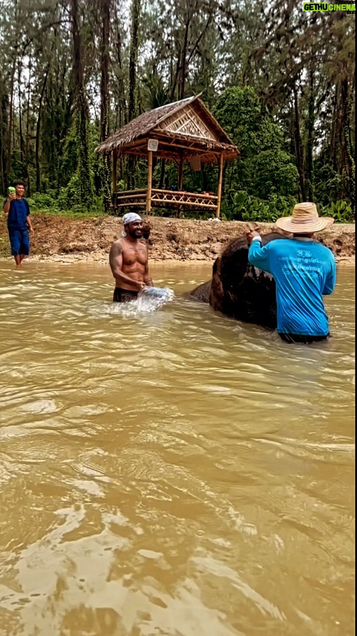 Remo D'Souza Instagram - #junglelife #tarzanboy Be kind to every kind not just mankind” 🐯🐘🦅