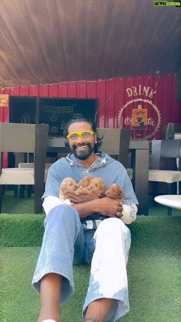 Remo D'Souza Instagram - 🐶🐶🐶🐶🐾🐾🐾🐾 #doglover