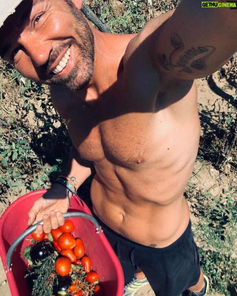 Renato Novara Instagram - Fingere di curare l’orto. Papà coltiva e io raccolgo… quando non lo fa lui per me! 😂😂😂 Ma lui il selfie non se lo vuole fare… 😂😂💪💪💪