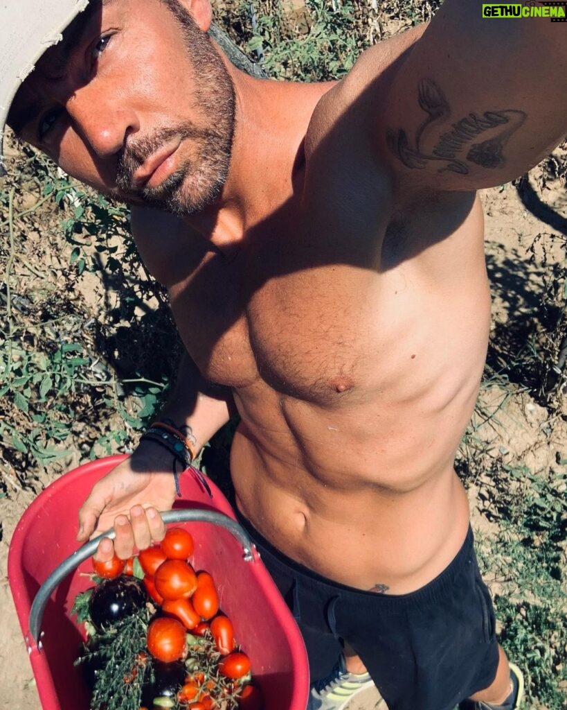 Renato Novara Instagram - Fingere di curare l’orto. Papà coltiva e io raccolgo… quando non lo fa lui per me! 😂😂😂 Ma lui il selfie non se lo vuole fare… 😂😂💪💪💪