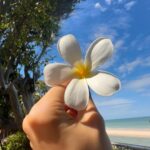 Renjun Instagram - 🌼🌸🌺