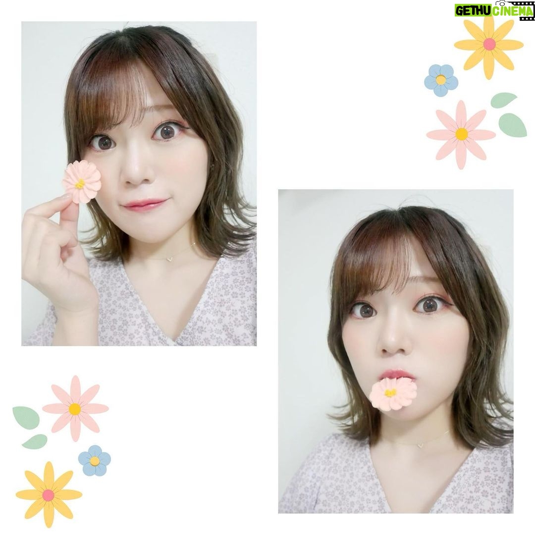 Reo Kurachi Instagram - 春らしいおかし。 白餡でできたぼうろです🌸