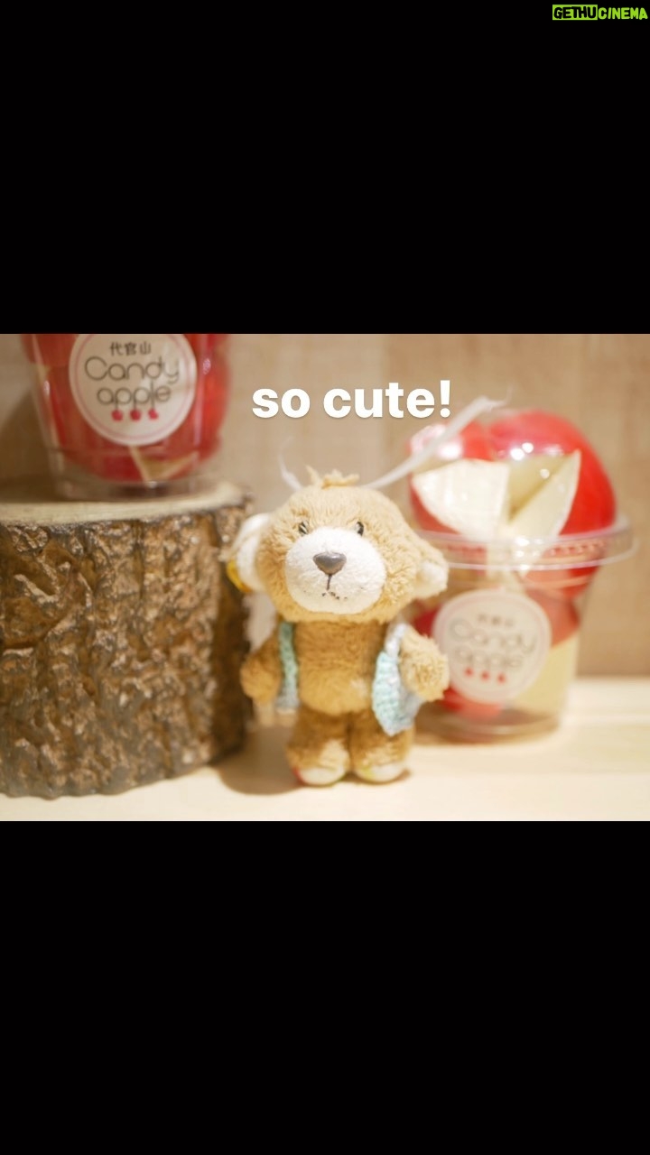 Reo Kurachi Instagram - 我が家の妖精。くまち。 #うちにはこんなのがいます