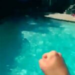 Reza Attaran Instagram - به همین راحتی