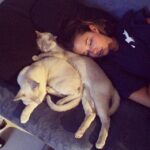 Rhiannon Fish Instagram - catnaps
