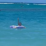 Rhiannon Fish Instagram – Mum took the last picture. Honolulu, Hawaii