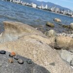 Rhinnan Payne Instagram – Rocks at the Beach • my YouTube video on YouTube.com • link in bio