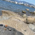 Rhinnan Payne Instagram - Rocks at the Beach • my YouTube video on YouTube.com • link in bio