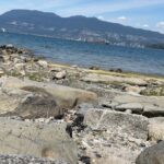 Rhinnan Payne Instagram - Rocks at the Beach • my YouTube video on YouTube.com • link in bio