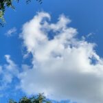 Rhinnan Payne Instagram - ✨🌿Look Up🌿✨