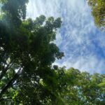 Rhinnan Payne Instagram - ✨🌿Look Up🌿✨
