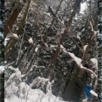 Rhinnan Payne Instagram - ❄️Snowfall❄️ Snow Snow Snow