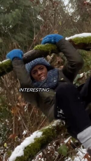Rhinnan Payne Instagram - If I go down, I go down with lipgloss #🌳 #❄️ 

I like climbing trees. Is this even really a tree? No. It’s the branches of. But that’s fine. we work with what we have. We move on. Hey maybe idk - Let all trees be climbable so i can be like a squirrel #🐿 let me climb. Let me up there. 

🌳❄️🌳❄️🌳❄️
#climbinginspiration #climbinglife #climbing #climbingtrees #professional #expert #outdoors #wilderness #adventurer #treeclimber #impressive #treeclimbing #reallygood #fantastic #amazing #successful #interesting #with #lipgloss #too #?? #wow #icon #rivalrhi