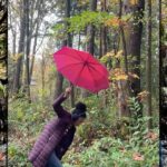 Rhinnan Payne Instagram - 🍁🍂Fall🍂🍁