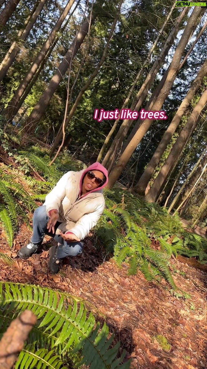 Rhinnan Payne - 95.4K Likes - Always in the trees. Always in the branches. WHY?? Cuz it’s fun! Okay? Don’t ask questions. Just enjoy the vibes of it all.
#🌲 #🌴 #🌳 #🏕 #🏡 #🌿 #🌱 #🍃 #🍂 #🍁 #🌾 #☀️ #🏔 #🪵
(More on titktok @/RivalRhi)
It’s fun! maybe I need to be hit in the face by a tree branch or two sometimes. Helps me live! Survive! You should try it. Take a twig to the eye just once! 10/10 recommend. (Don’t do it, it will hurt a lot actually)
#playoutside #runaround #dowhatyouwant #thetreesthetrees #itsablast #ineedittosurvive #fun #timetravel #moonlanding #selfcare #joy #ijustliketrees #okay #nobigdeal #bye #rivalrhi