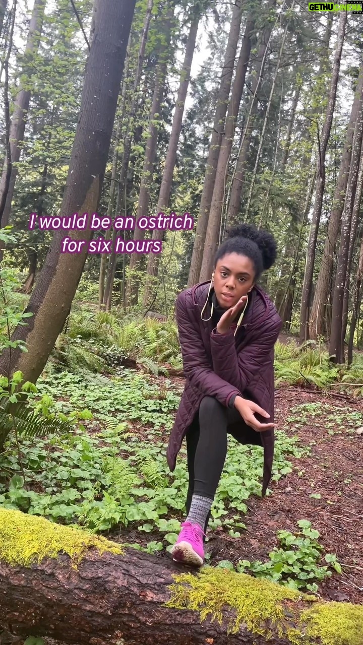 Rhinnan Payne - 88.8K Likes - Unfortunately, I am just a human girl.
#🪄 #🔮 #✨ #🧞♀️ #🧙♀️ #🧚♀️
I AM ON TIKTOK @/Rivalrhi
look me up for more vids
#contrarytopopularbelief #sosorry #teachme #howtobe #magical #wizard #witch #wizards #witchy #spell #spellcasting #harrypotter #spells #hogwarts #plantnames #trees #treenames #namesofplants #alan #🌲 #🌴 #🌳 #🌊 #ostrich
