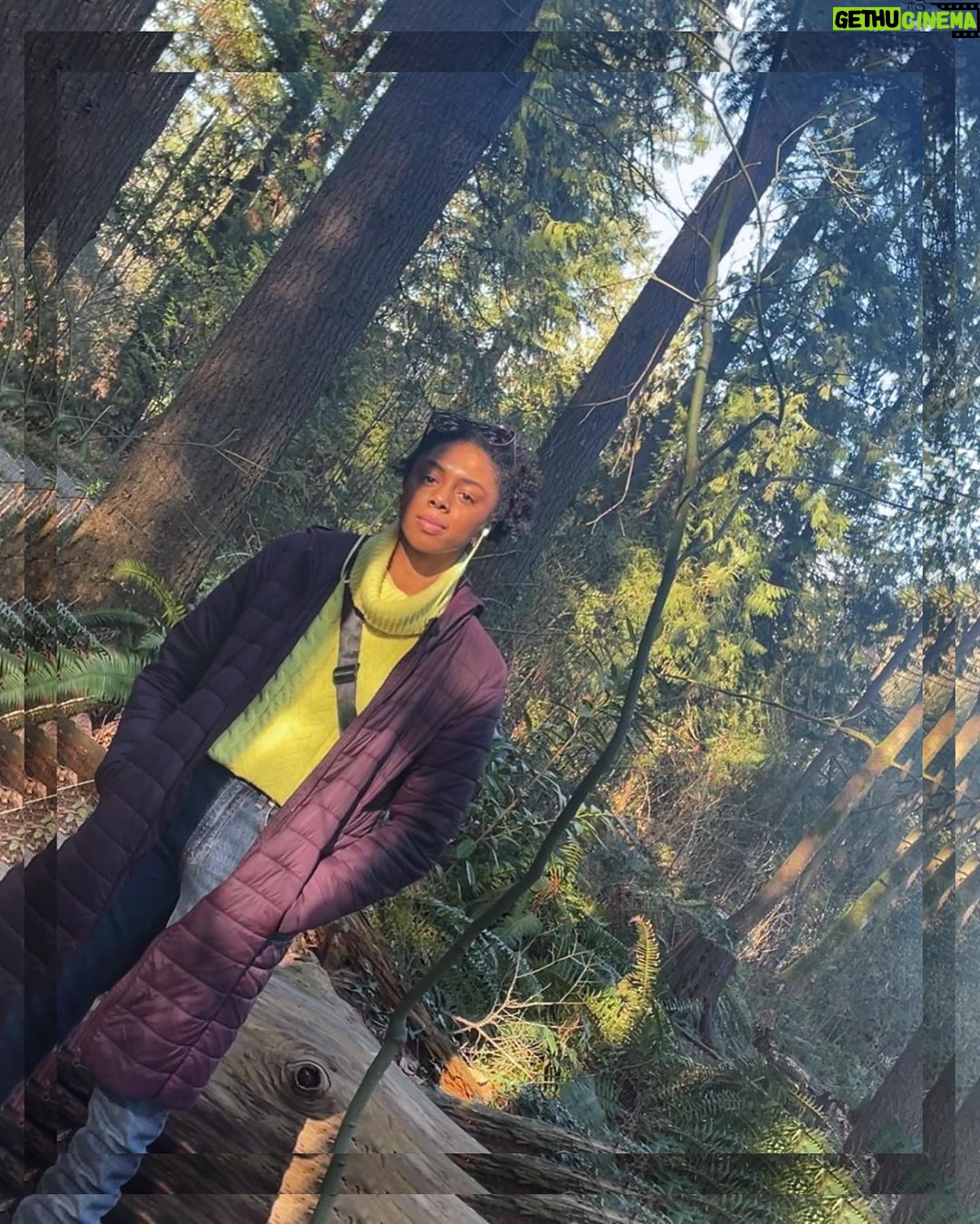 Rhinnan Payne Instagram - Trees.Birds.Thumbs up. The Trees The Trees