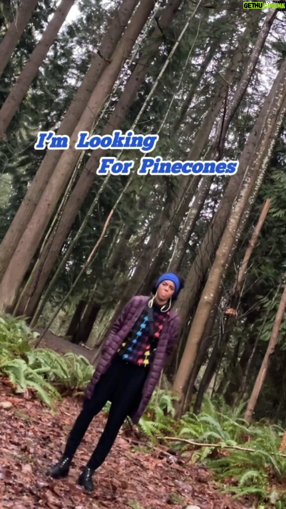 Rhinnan Payne Instagram - I am JUST looking for pinecones. THAT’s IT! TikTok @/RivalRhi #seriously #itsnobigdeal #nbd #seriouslytho #justkidding #ohno #pinecones #watchout #rivalrhi #🎯🎯🎯 #💥💥💥