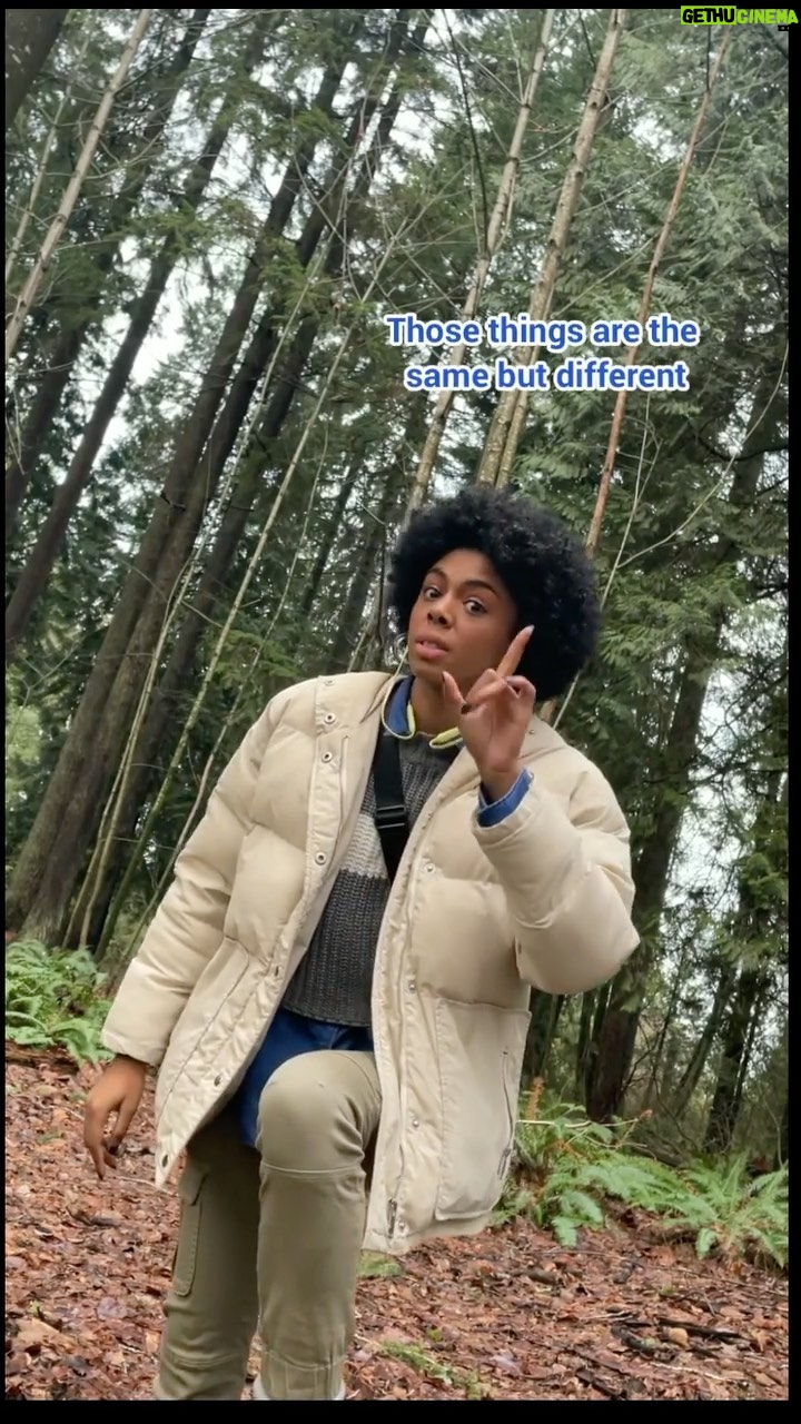 Rhinnan Payne Instagram - Salad Talk: What *IS* a salad? and really, what is *NOT* a salad? Class discuss. TikTok @/RivalRhi (that’s me!) #SaladDiscourse #🥗🥗🥗 #bigsalad #ineedanswers #salad #repost #saladsaladsalad #rivalrhi #iforgot #fruitsalad #iapologize