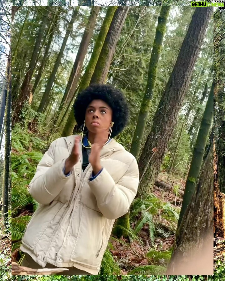 Rhinnan Payne Instagram - 🌳🌲For now, I guess🌲🌳 The Trees The Trees