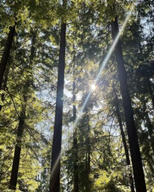 Rhinnan Payne Instagram - 🌞🌞🌞