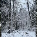Rhinnan Payne Instagram - ❄️Snowfall❄️ Snow Snow Snow