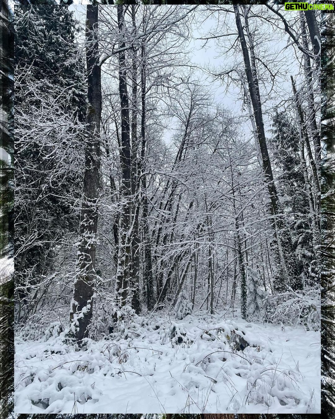 Rhinnan Payne Instagram - ❄️Snowfall❄️ Snow Snow Snow