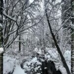 Rhinnan Payne Instagram - ❄️Snowfall❄️ Snow Snow Snow