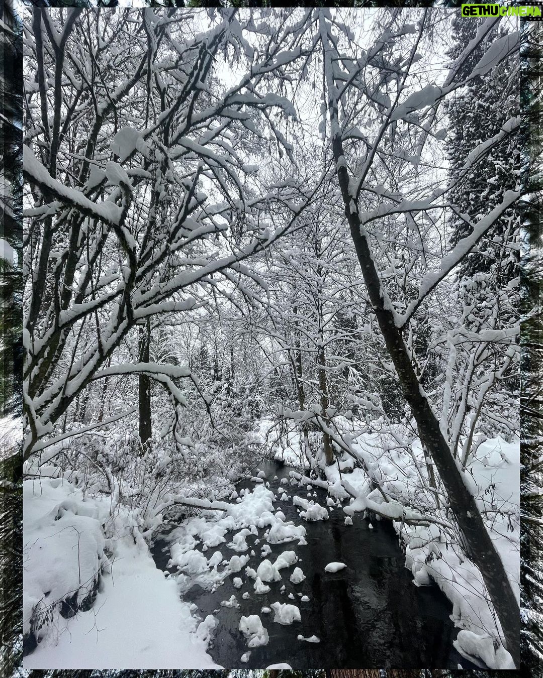 Rhinnan Payne Instagram - ❄️Snowfall❄️ Snow Snow Snow