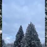 Rhinnan Payne Instagram - ❄️Snowfall❄️ Snow Snow Snow
