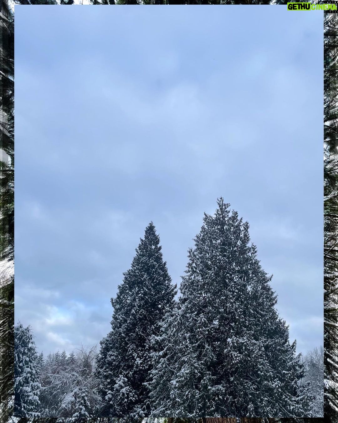 Rhinnan Payne Instagram - ❄️Snowfall❄️ Snow Snow Snow