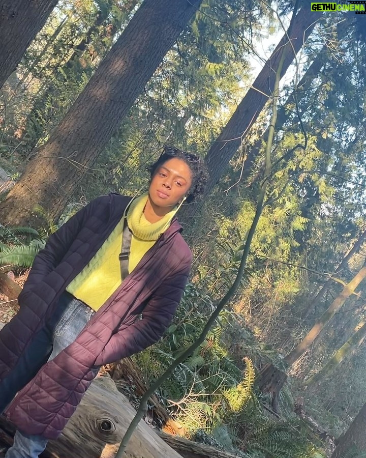 Rhinnan Payne Instagram - Trees.Birds.Thumbs up. The Trees The Trees