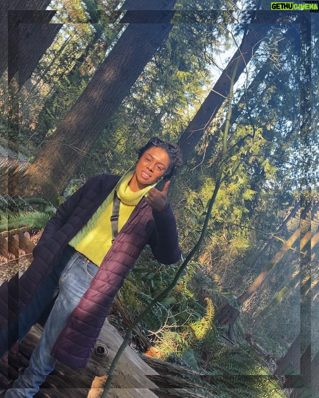 Rhinnan Payne Instagram - Trees.Birds.Thumbs up. The Trees The Trees