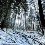 Rhinnan Payne Instagram - ⛄️☃️❄️☃️⛄️ Snow