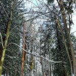 Rhinnan Payne Instagram - ⛄️☃️❄️☃️⛄️ Snow