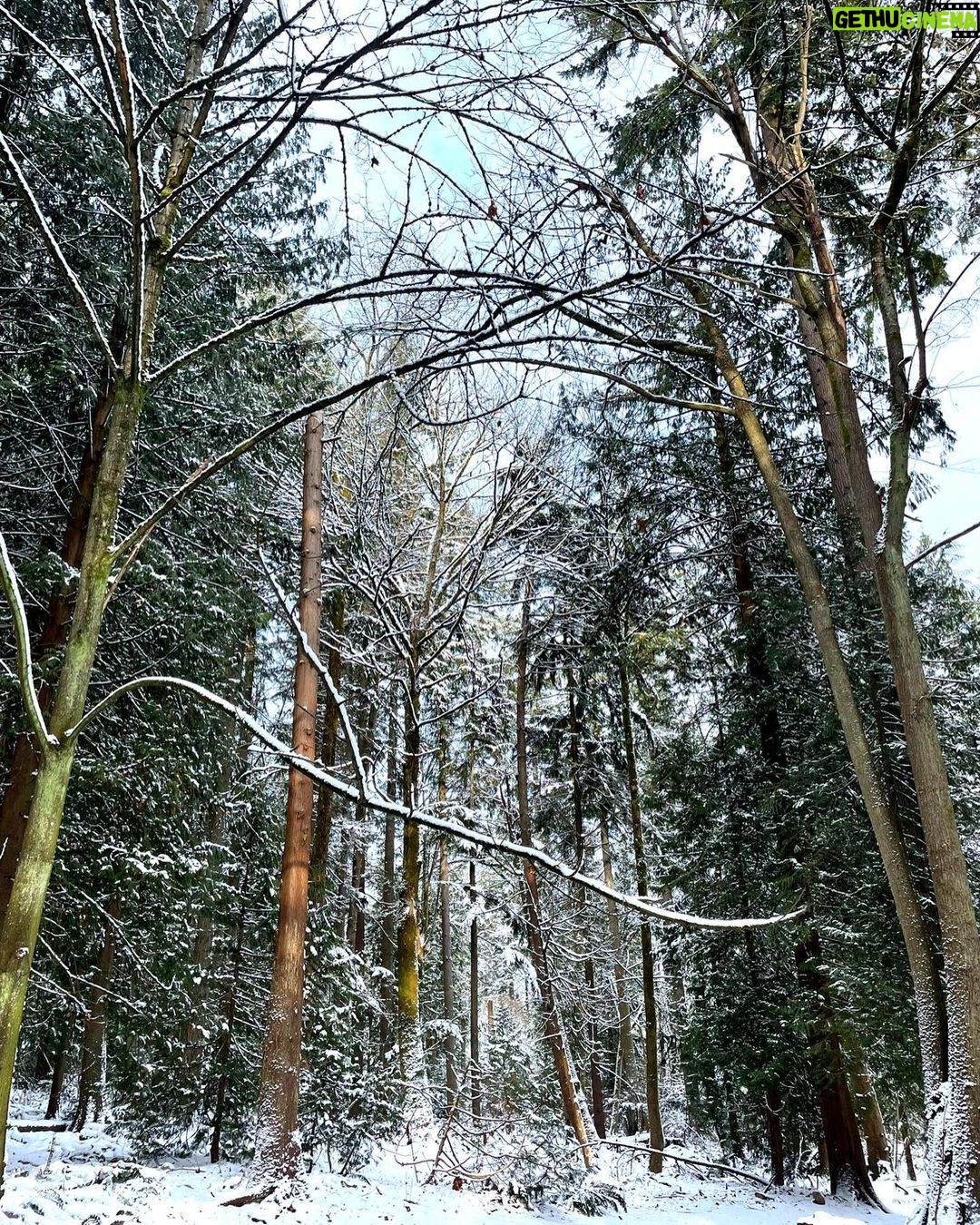 Rhinnan Payne Instagram - ⛄️☃️❄️☃️⛄️ Snow