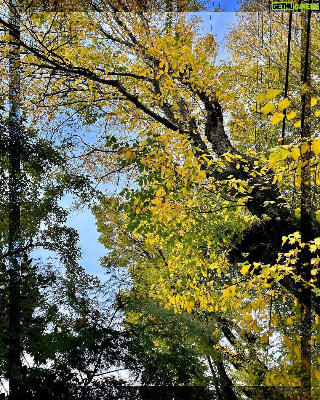 Rhinnan Payne Instagram - ✨🌊🍃🍂🍃🌊✨ 𝙉𝙖𝙩𝙪𝙧𝙚