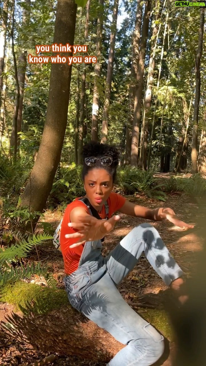 Rhinnan Payne - 33.7K Likes - Wow. Life changes everyday. And now here I am.
🥗🥗🥗🥗
#so #unpredictable #me #??? #liking #rawcelery #celery #andme #forreal #wow #also #adamlevine #my #celebritynemisis #nofurtherquestions #🥗
