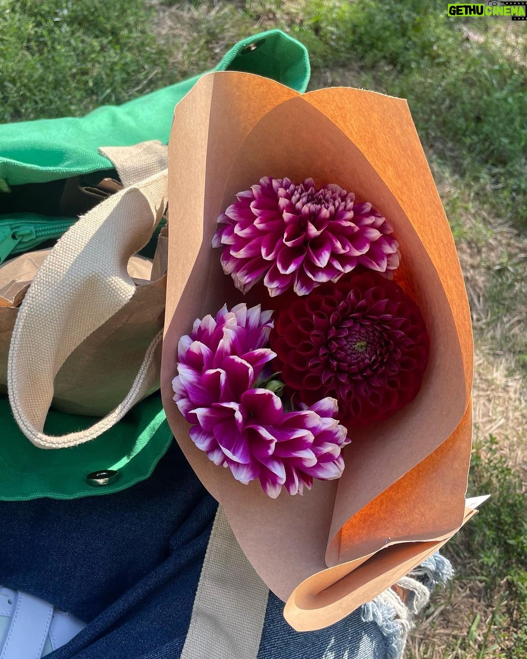Rhinnan Payne Instagram - A couple weeks back, a few days ago and last week. Have a super day ♥︎