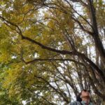Rhinnan Payne Instagram - Out on a walk: trees, flowers, bees, ocean, rocks, breeze. Good stuff.