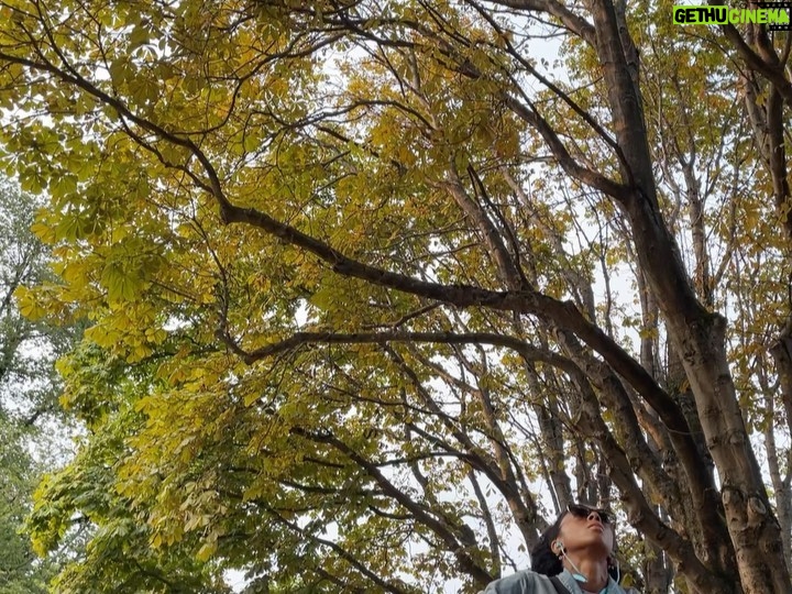 Rhinnan Payne Instagram - Out on a walk: trees, flowers, bees, ocean, rocks, breeze. Good stuff.