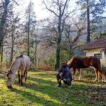 Ricardo Guedes Instagram - 🌍... Wild and free ... 🌎 #happy2020 💚 Parque Nacional da Peneda-Gerês